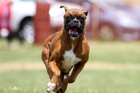MCH70355