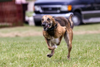 MCH70427