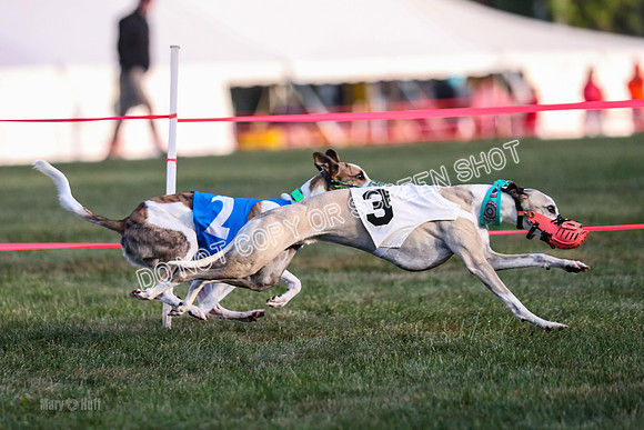 Prg 1, race 2, Spud Gnocchi Rigby-0600