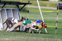 MCH72532 Funky, Hit, Whistler, Gracy