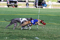 MCH72539 Funky, Hit, Whistler, Gracy