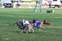 MCH72541 Funky, Hit, Whistler, Gracy