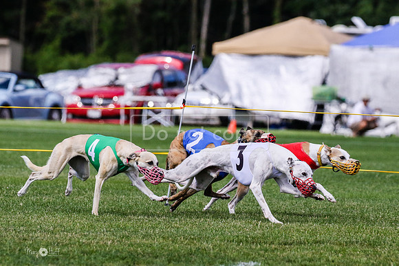MCH72778 Raylee, Stoke, Sprout, Shelby