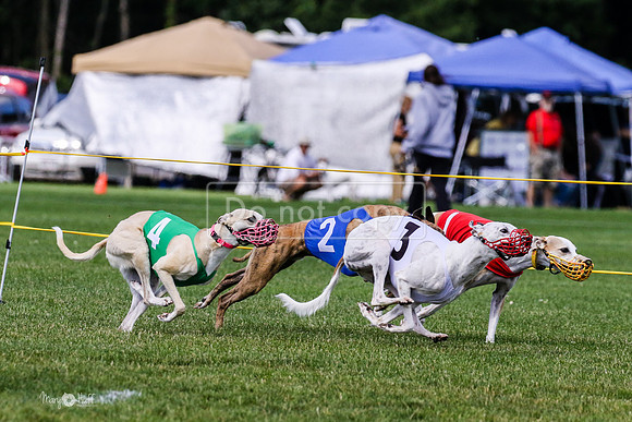 MCH72779 Raylee, Stoke, Sprout, Shelby