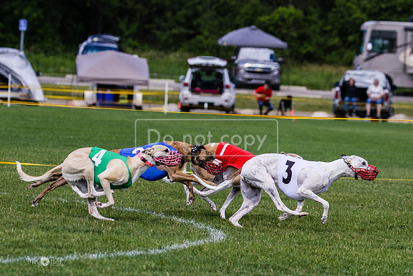 MCH72782 Raylee, Stoke, Sprout, Shelby