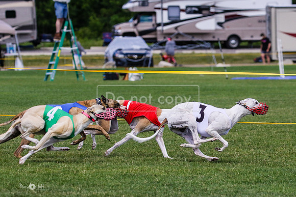 MCH72784 Raylee, Stoke, Sprout, Shelby