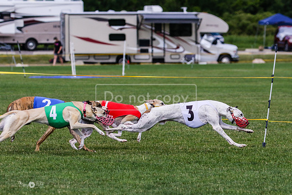 MCH72785 Raylee, Stoke, Sprout, Shelby
