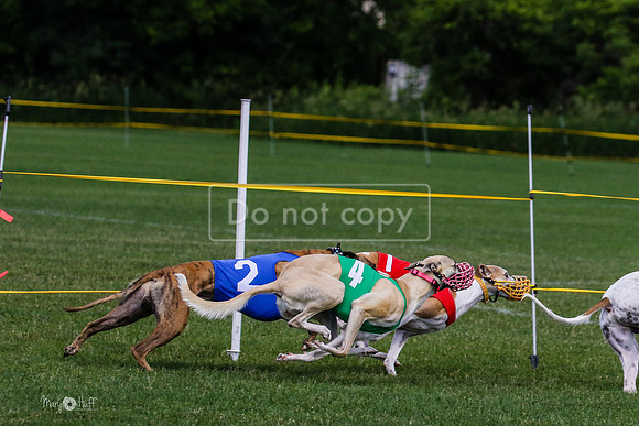 MCH72791 Raylee, Stoke, Sprout, Shelby