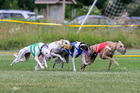 MCH72839 Danno, Denali, Raylee, Shea
