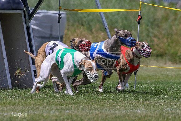 MCH72861 Fore, Slingshot, Stoke, Piper