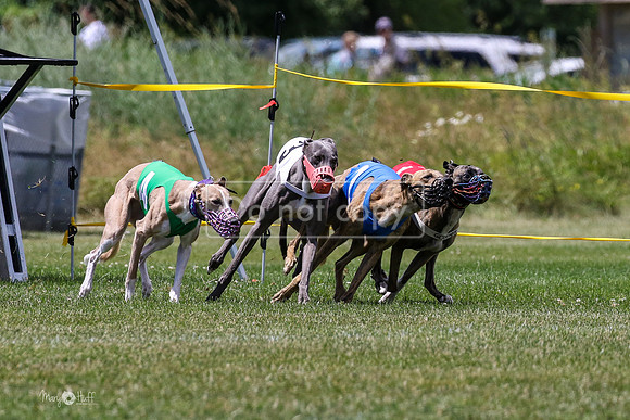 MCH72878 Time, Jonesy, Whistler, Gossip