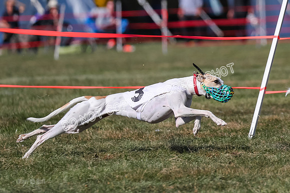 Prg 4, Race 12, Snacks Coty Ryka Stone-2741