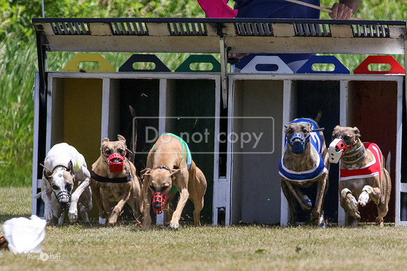 MCH72454 Journey, Slingshot, CJ, Filly, Sporty
