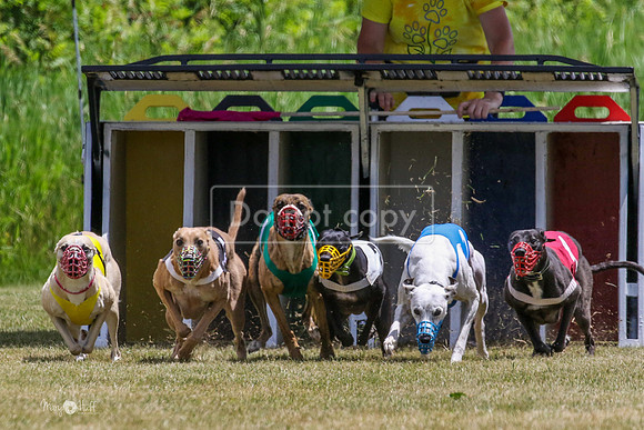 MCH72467 Bean, Sprout, Hero, Stoke, Danno, Shelby
