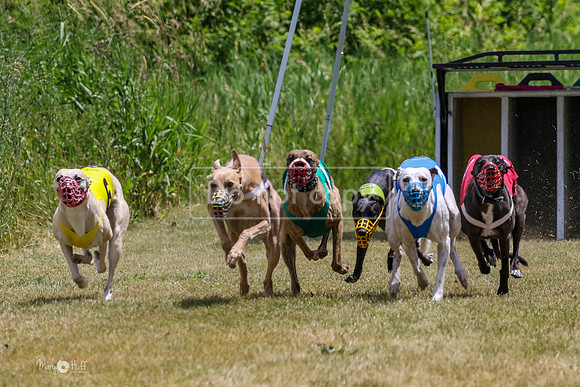 MCH72471 Bean, Sprout, Hero, Stoke, Danno, Shelby