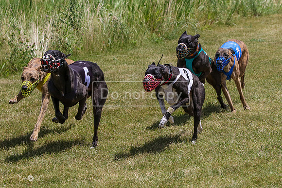 MCH72492 Kaze, Tuff, Kashi, Grid, Bull, Jonesy