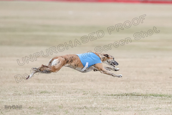 1Prelim Open 2 Shine Maverick Steel-3002