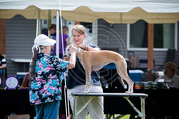 LJE-7134