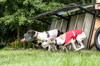 prg 1 race 2 Tissy Wallie Frankie Elsa-3507