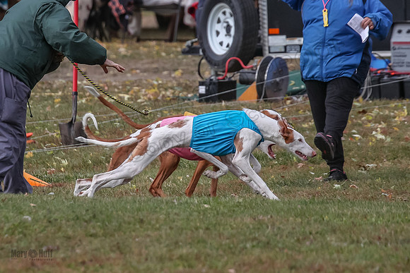 1 Prelims Fch 1 Penny Jadis Willow-5744