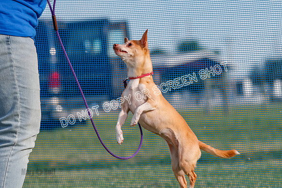 _E4I0135
