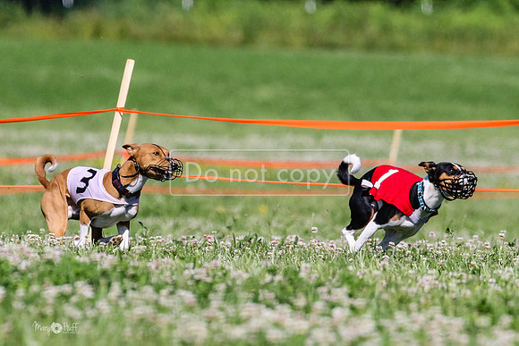 MCH74157 Race 2