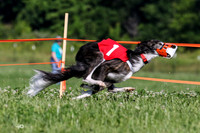 Silken Windhounds