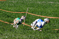 MCH74021 Penny Loma, Gherkin, Briony, Gossip