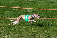 MCH74022 Penny Loma, Gherkin, Briony, Gossip