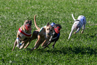 MCH74032 Journey, Bean, Shea, Danno