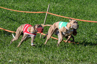 MCH74039 Journey, Bean, Shea, Danno