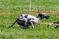 MCH74177-3 Remy, Sirius, Penny Loma