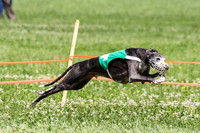 MCH74287 Gracy, Penny Loma, Remy, Sirius