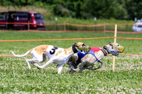 MCH74294  Gracy, Penny Loma, Remy, Sirius