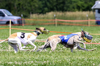 MCH74296  Gracy, Penny Loma, Remy, Sirius
