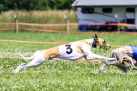 MCH74297  Gracy, Penny Loma, Remy, Sirius
