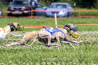 MCH74298  Gracy, Penny Loma, Remy, Sirius