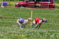 MCH74373 Penny Loma, Gracy, Remy