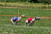 MCH74374 Penny Loma, Gracy, Remy