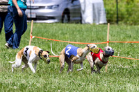 MCH74372 Penny Loma, Gracy, Remy