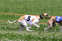 MCH74376 Penny Loma, Gracy, Remy