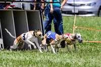 MCH74371 Penny Loma, Gracy, Remy