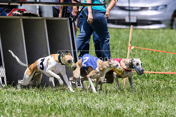 MCH74371 Penny Loma, Gracy, Remy