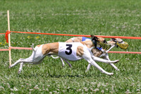 MCH74377 Penny Loma, Gracy, Remy