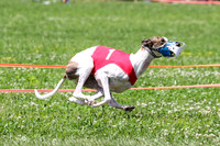 MCH73795