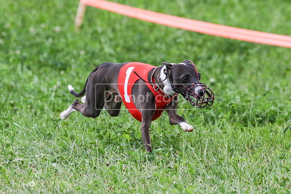 MCH73221