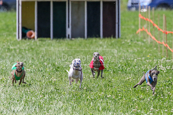 MCH73809