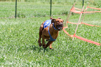 MCH73892