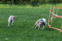 MCH73151 Shea, Shelby, Gherkin, Danno