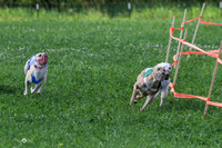 MCH73152 Shea, Shelby, Gherkin, Danno